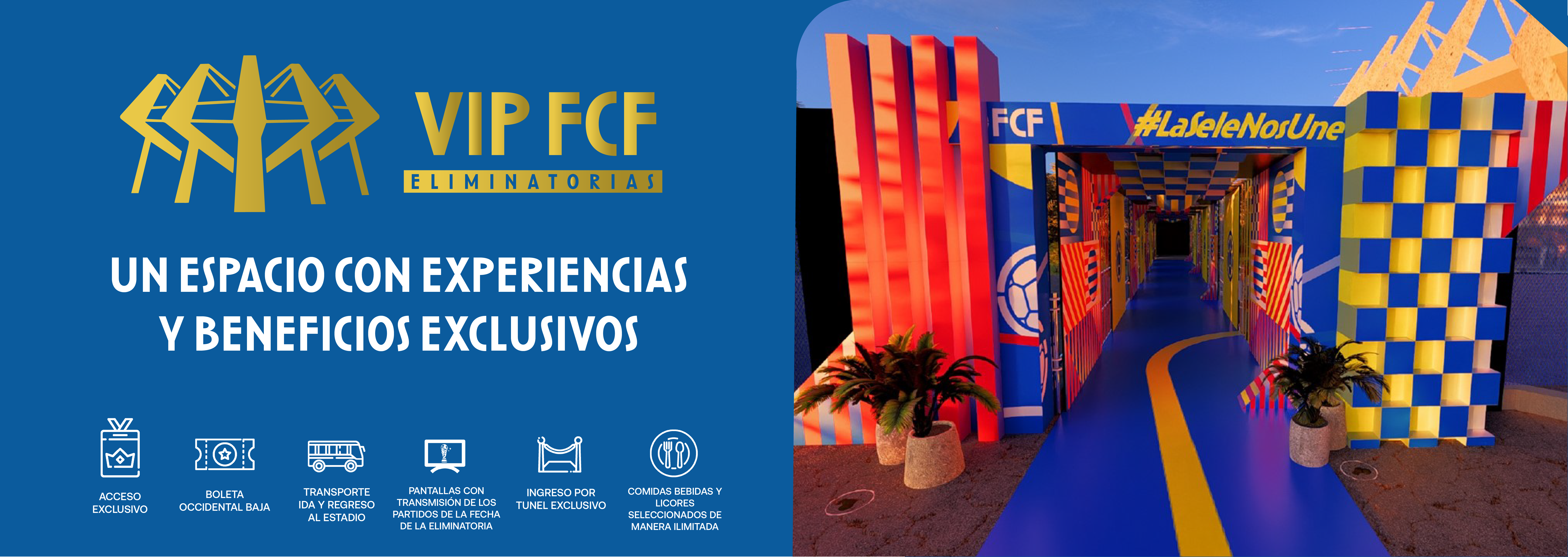 logo-vip-fcf